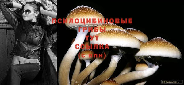амфетамин Балахна