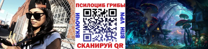Псилоцибиновые грибы Psilocybe  blacksprut зеркало  Мантурово 